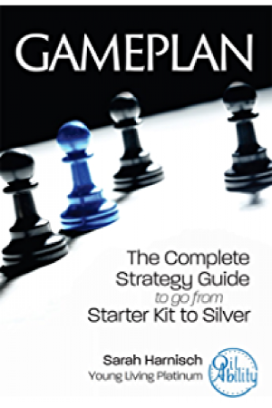 Gameplan - The Complete Strategy Guide to go from Starter Kit to Silver