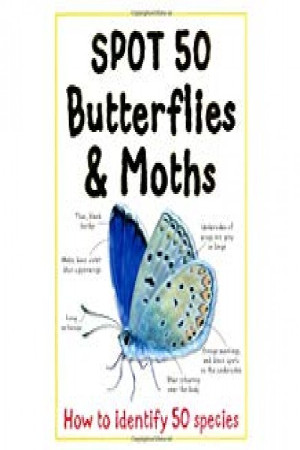 SPOT 50 Butterflies and moths
