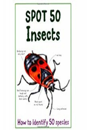 SPOT 50 INSECTS