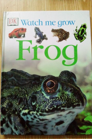 Watch me grow: Frog