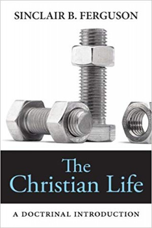 The Christian Life: A Doctrinal Introduction
