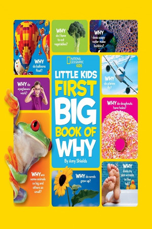 little kids first big book of why