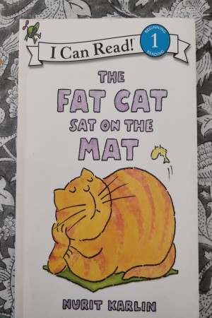 The fat cat Sat on the mat